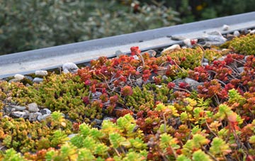the cost of Waterbeach green roof installation