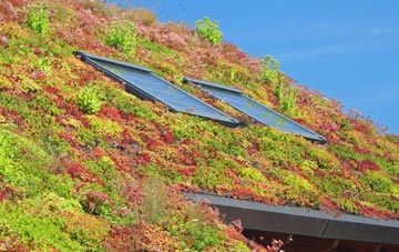Waterbeach living roof systems
