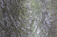 Waterbeach fibreglass roof work